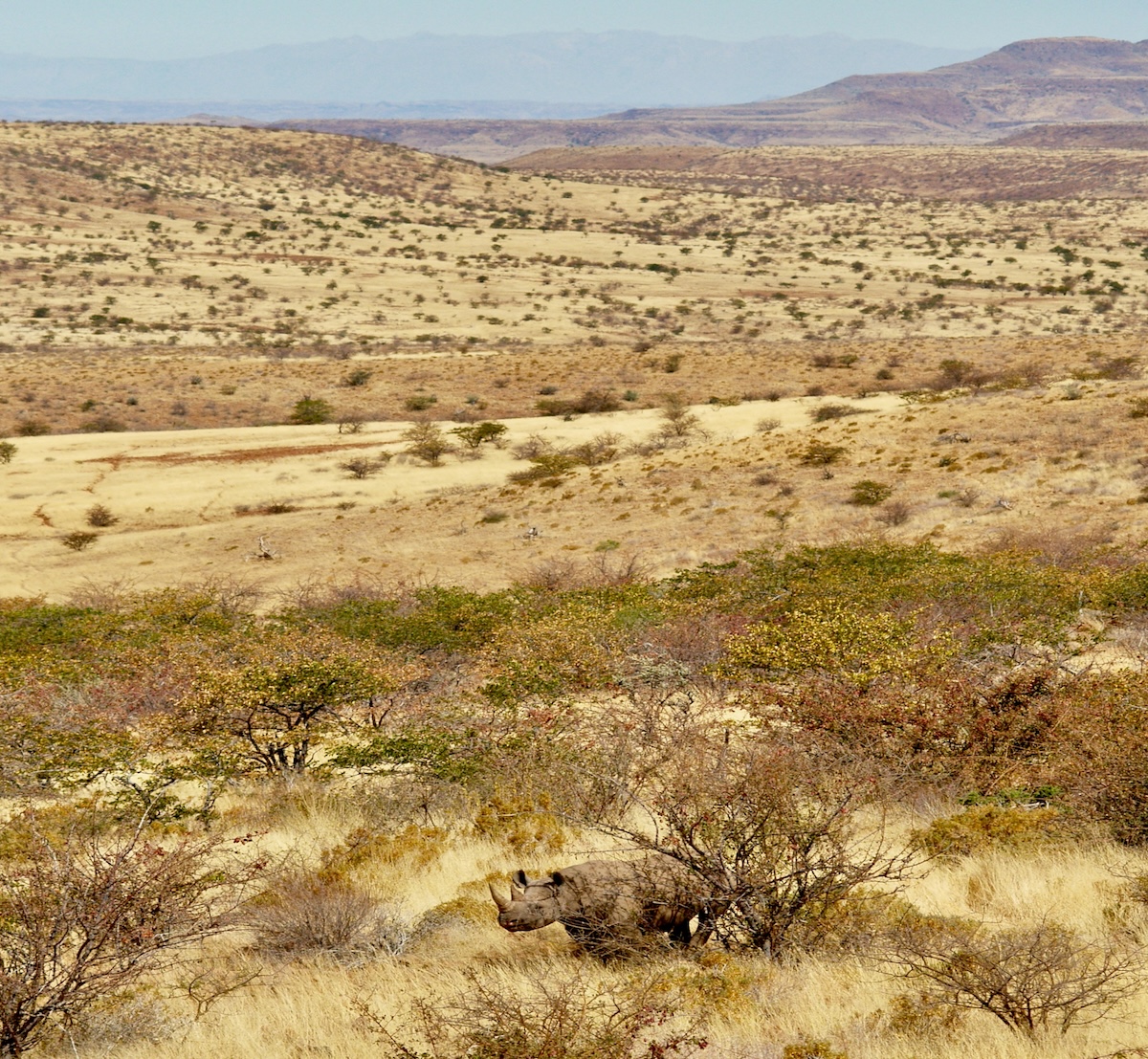 damaraland_c