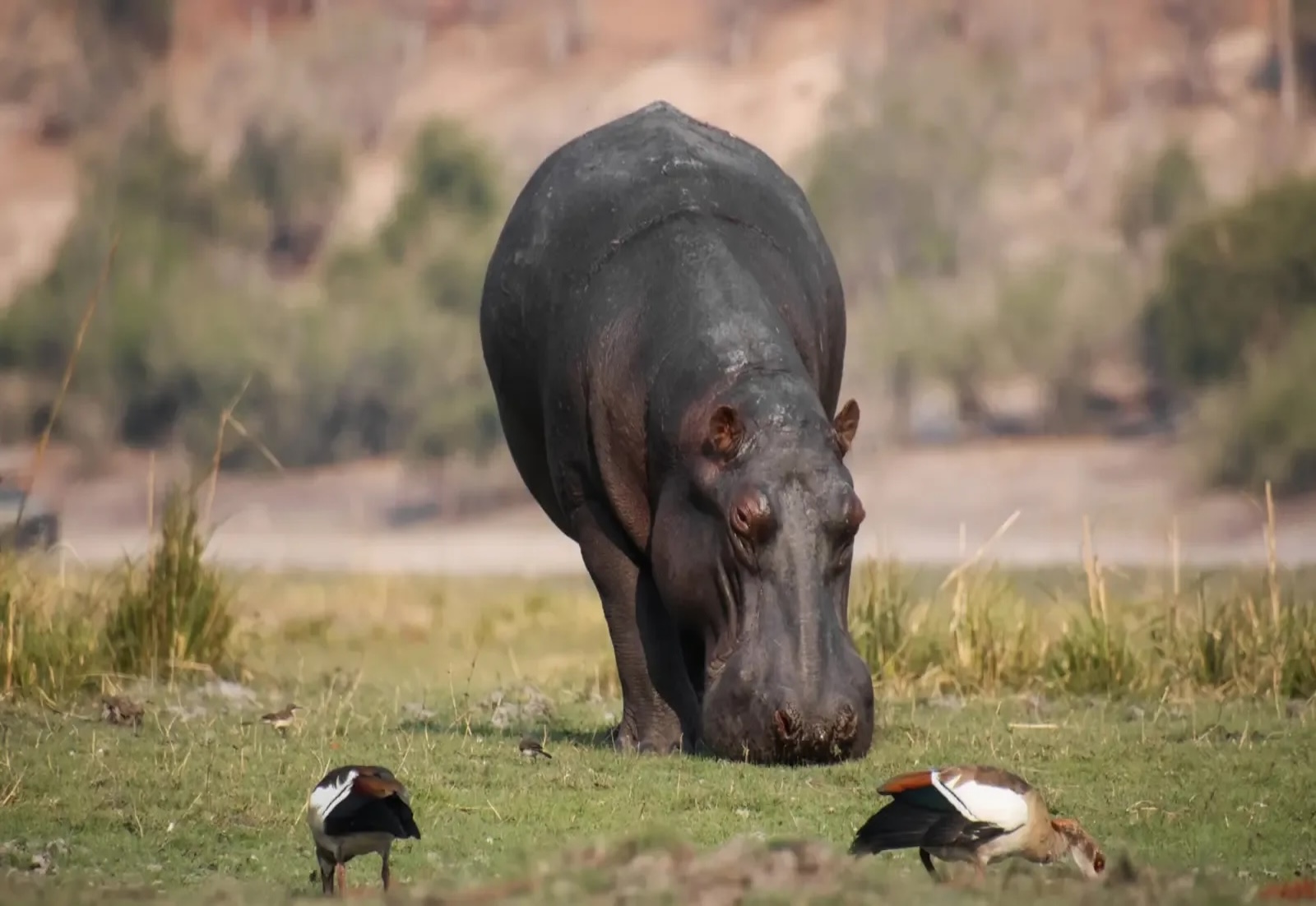 Etosha Nationalpark