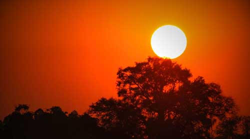 image12_namibia_18_tage_highlights