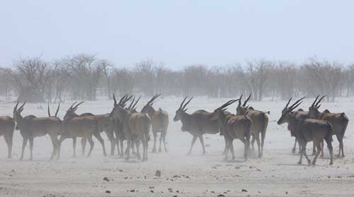 image14_namibia_18_tage_highlights
