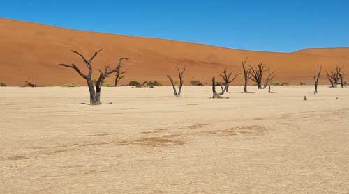 image7_namibia_18_tage_highlights