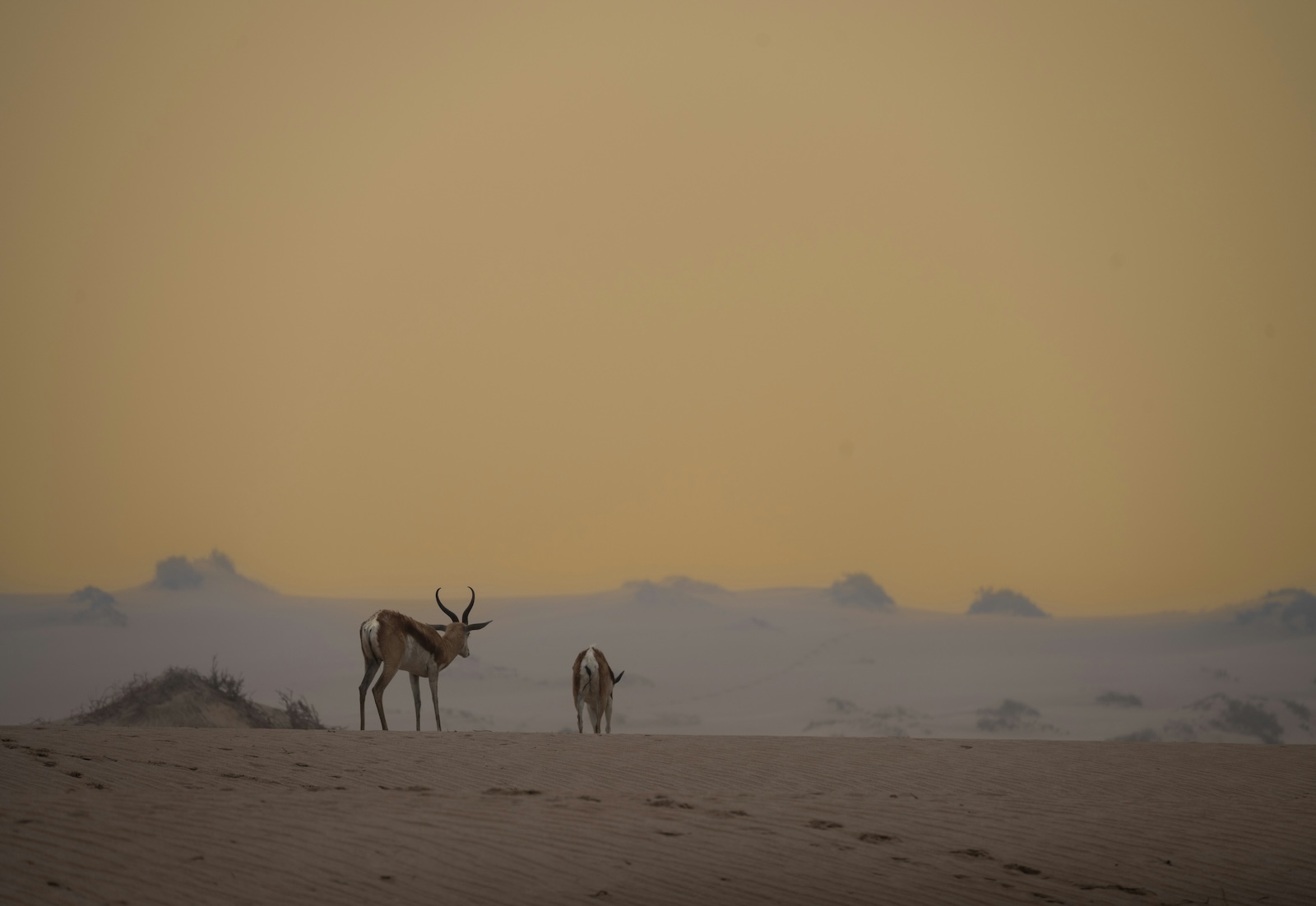 nw_namibia_4