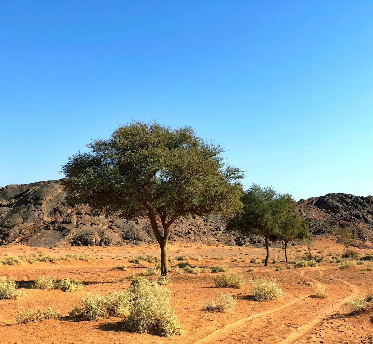 nw_namibia_c